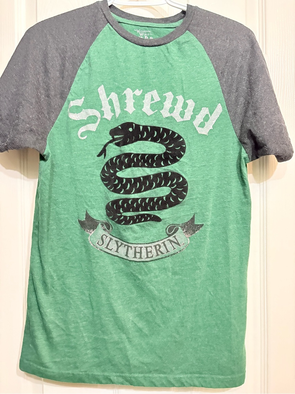 Slytherin 'Shrewd' Raglan Tee - Green/Gray